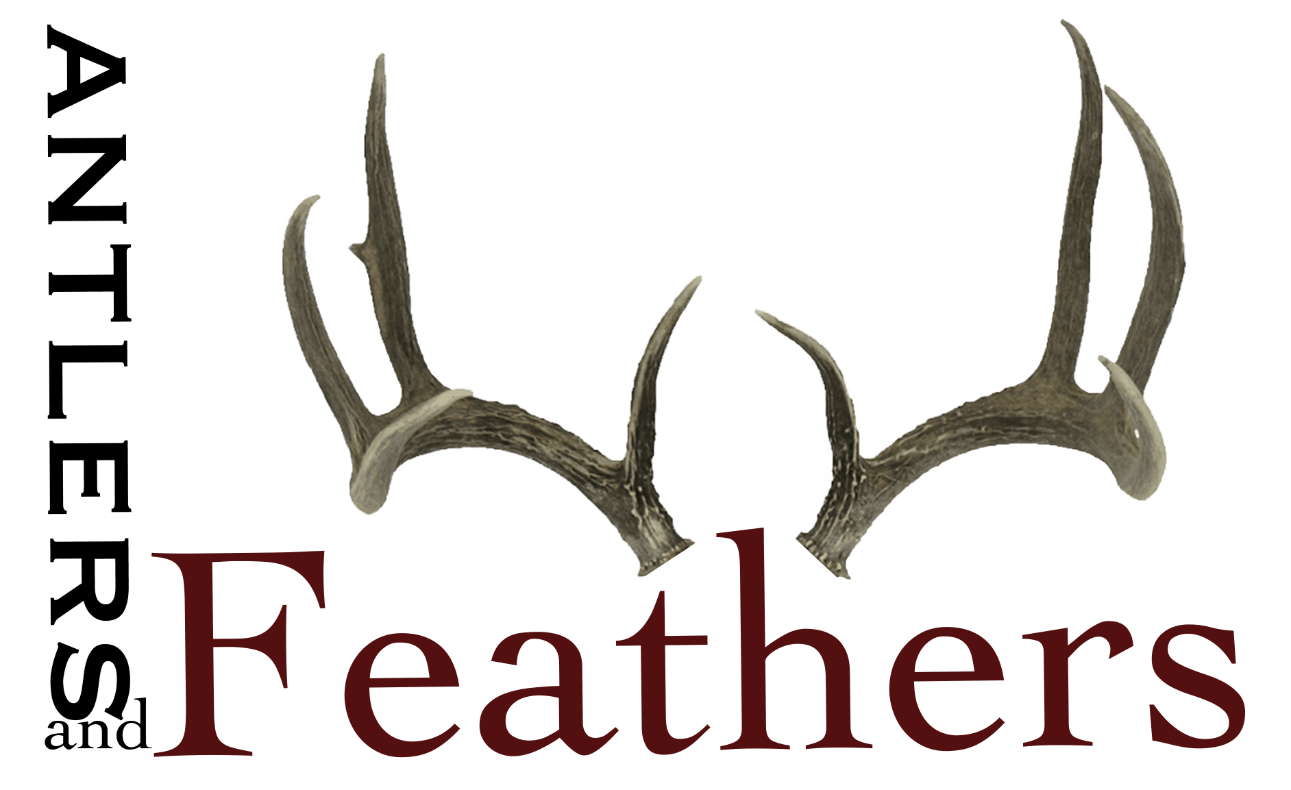 Antlers and Feathers